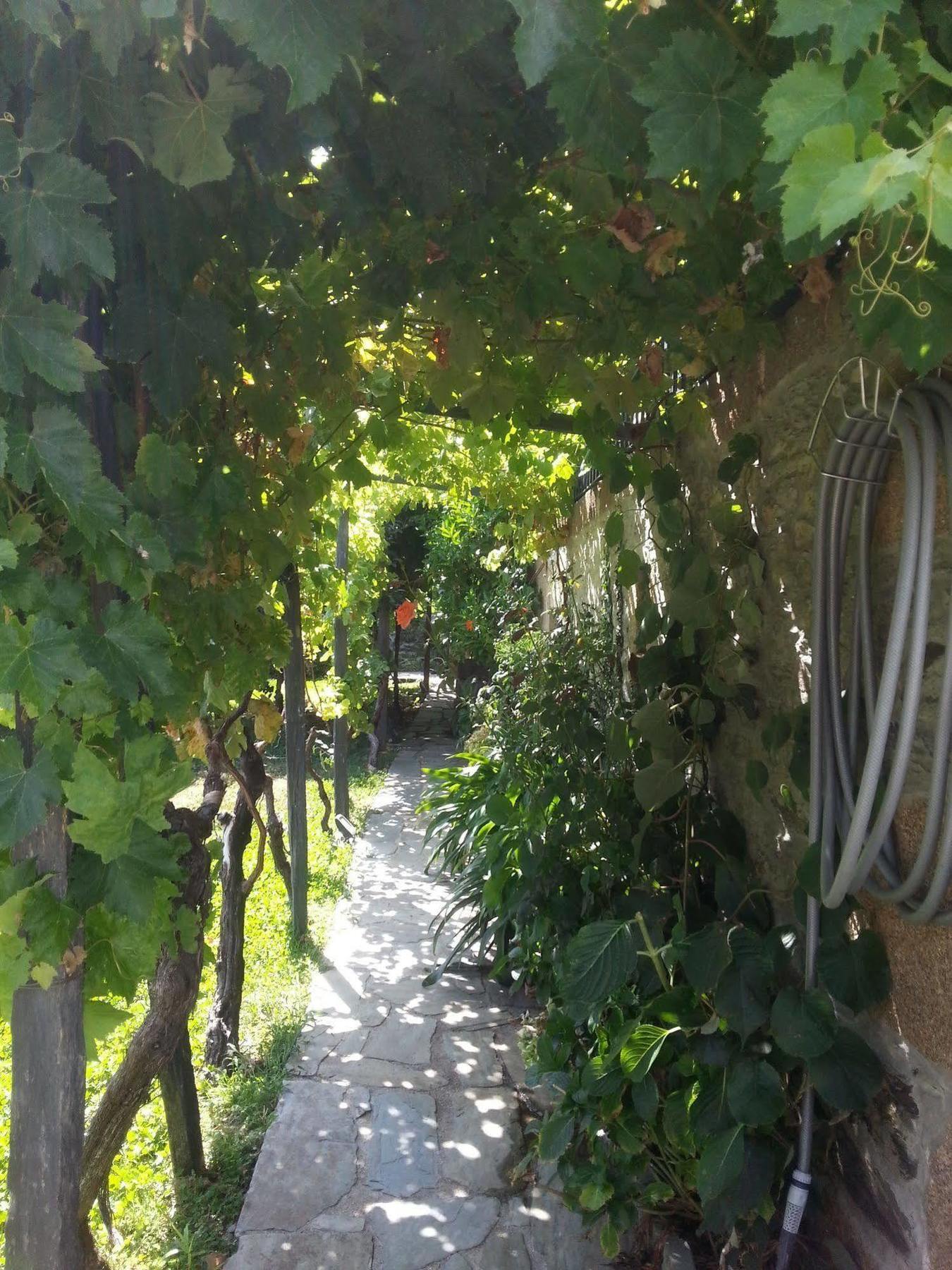 Villa O Ze Ja Dormiu Aqui Celeiros Exterior foto