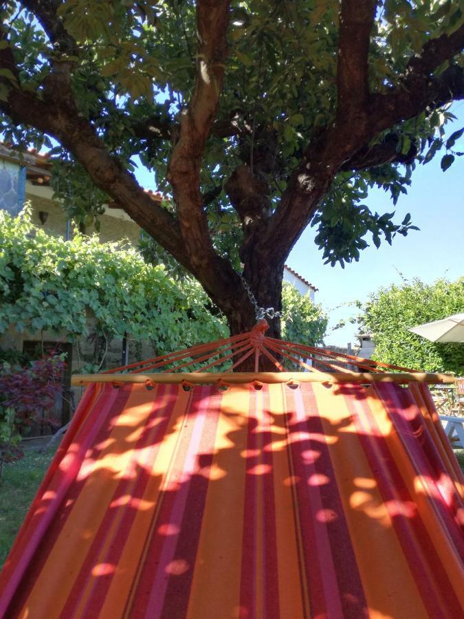 Villa O Ze Ja Dormiu Aqui Celeiros Exterior foto